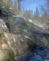 astarwbry_ Altpins Profile Picture