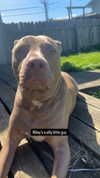 heathergrace67 Altpins Profile Picture