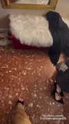 ariannachiaravalle_ Altpins Profile Picture