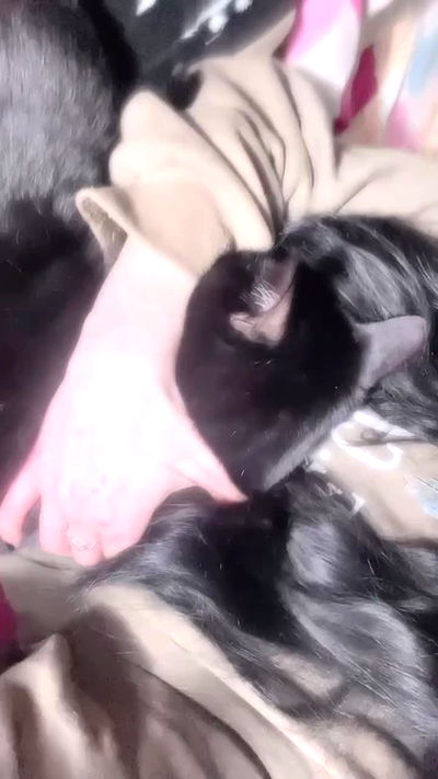 feelbetterinmysweater feelbetterinmysweater archive video