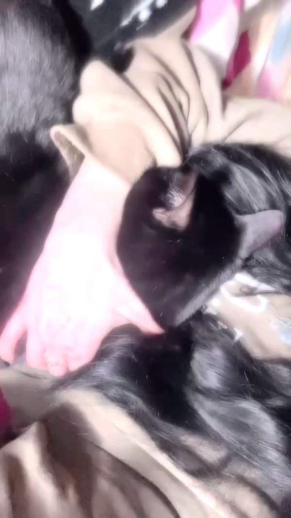 feelbetterinmysweater archive video preview