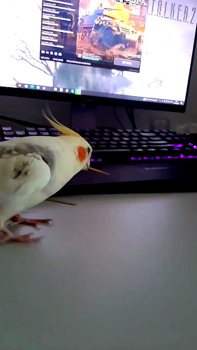 tinapavlov.sky tinapavlov.sky archive video