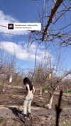 canabaputgir Altpins Profile Picture
