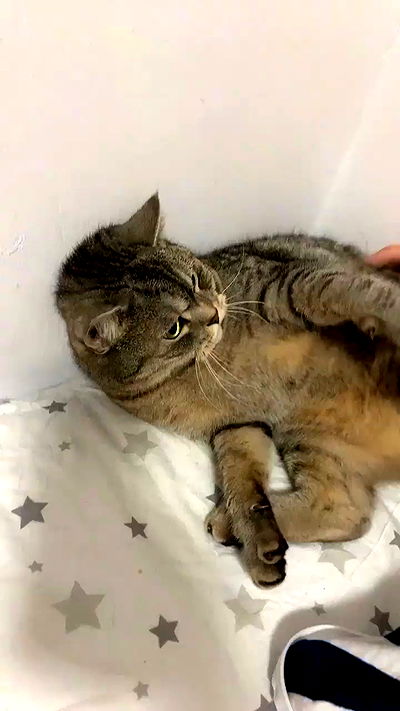 neomiconrad neomiconrad archive video