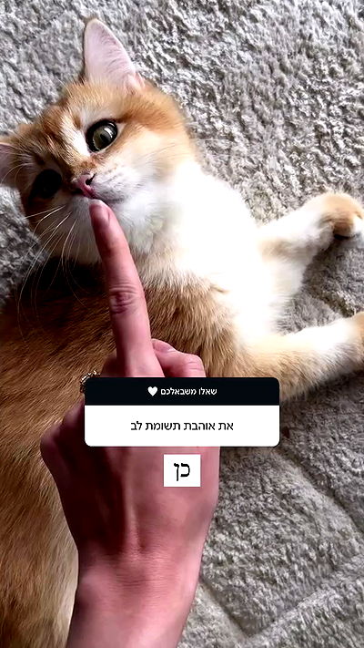 itsilanosh itsilanosh archive video