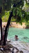 shelly_roberin Altpins Profile Picture
