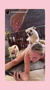 ellauk Altpins Profile Picture