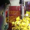 lilmochidoll Altpins Profile Picture