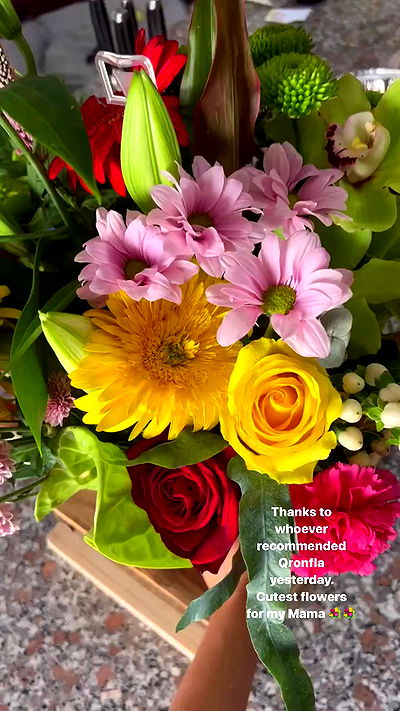 bakedsloths bakedsloths archive video