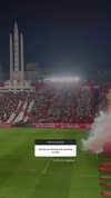pauuuferreira_ Altpins Profile Picture