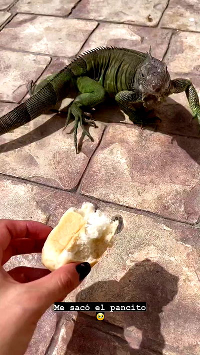 shunli__mei shunli__mei archive video