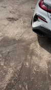 railey.tv Altpins Profile Picture