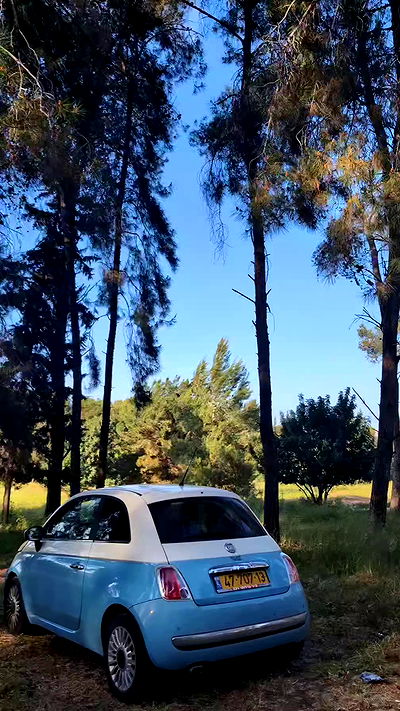 tinapavlov.sky tinapavlov.sky archive video