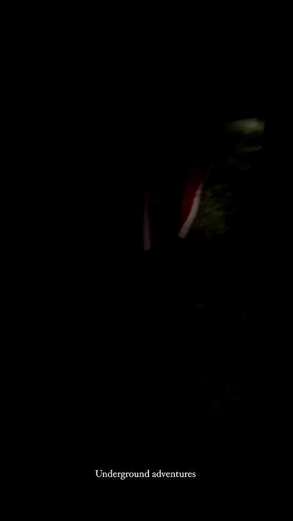 jessielbazz archive video preview