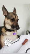 vadim_evs Altpins Profile Picture