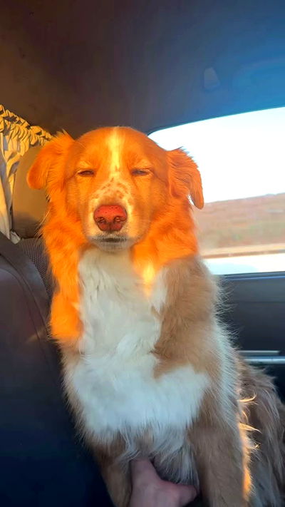 biton__adi biton__adi archive video