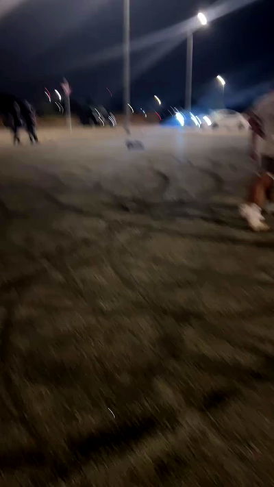 simp_for_cats_ simp_for_cats_ archive video