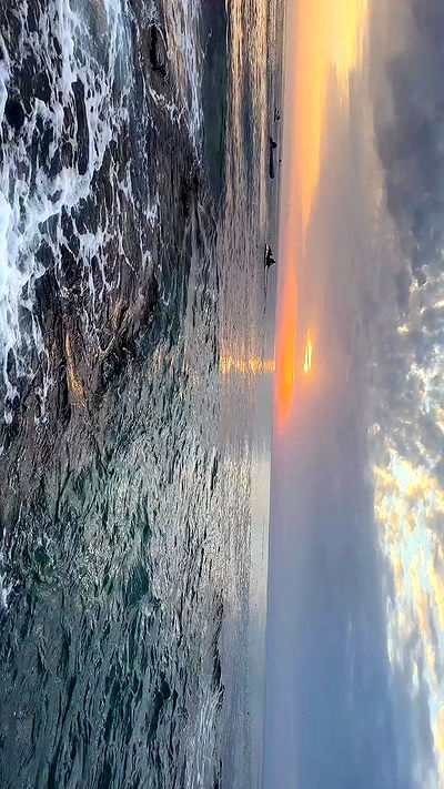 annfigma annfigma archive video