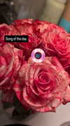 zz.eazoning Altpins Profile Picture