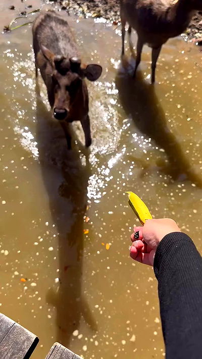 oqr0_ oqr0_ archive video