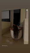 _m_a_y_c_ Altpins Profile Picture