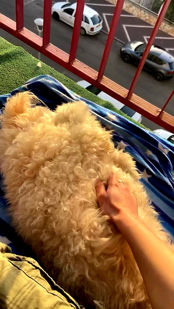 feelbetterinmysweater archive video preview