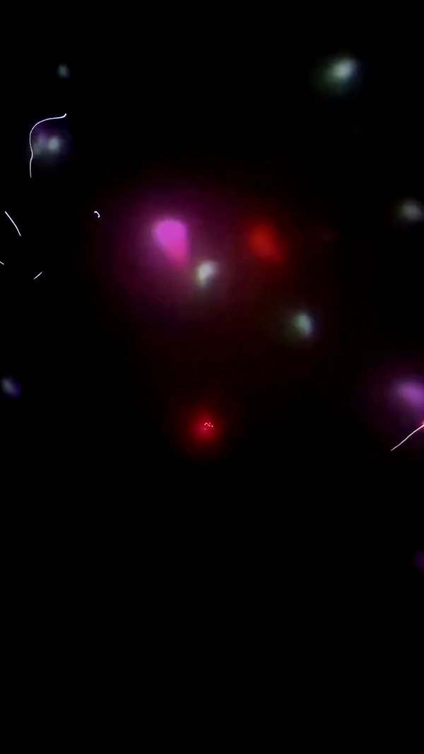 goth_lena archive video preview