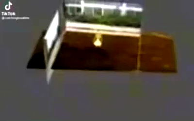 tuliprivet tuliprivet archive video