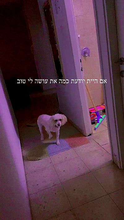 feelbetterinmysweater feelbetterinmysweater archive video