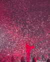 kimberly.loaiza Altpins Profile Picture