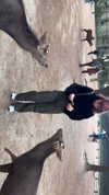 dina_shrago Altpins Profile Picture