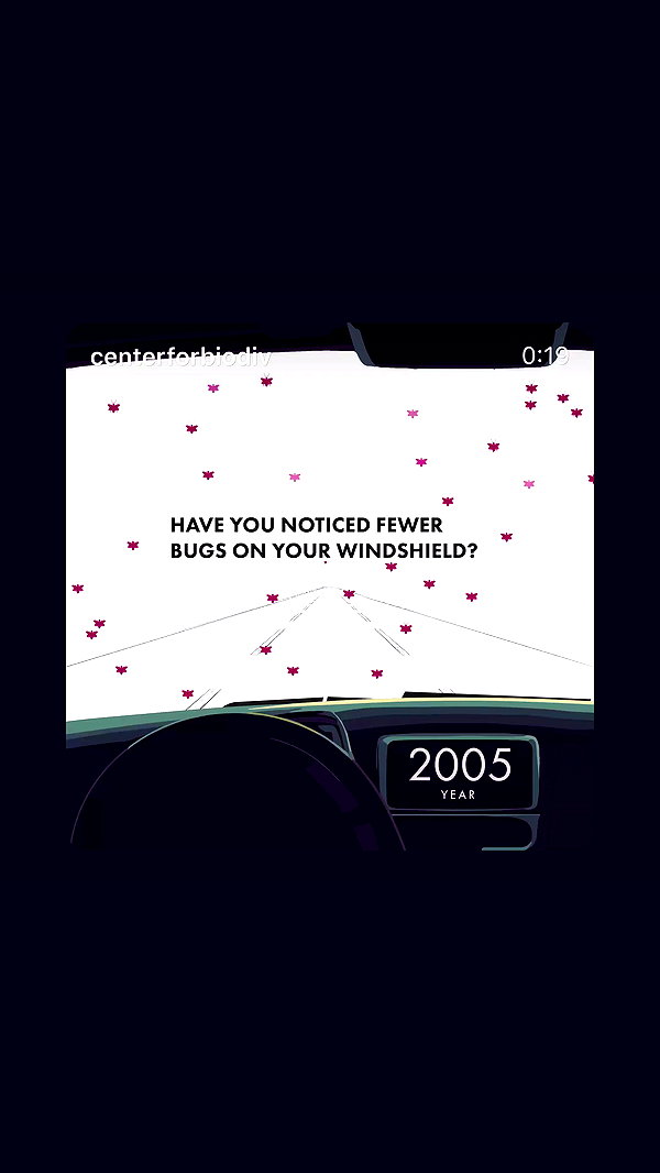xunniexoo archive video preview