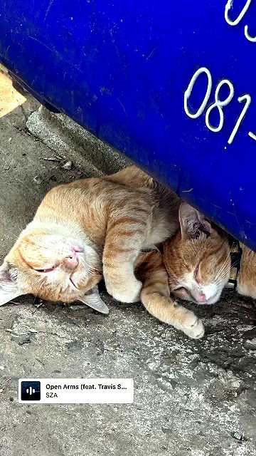 oqr0_ oqr0_ archive video