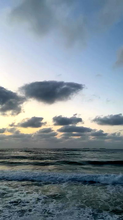 noa_zemlyanski noa_zemlyanski archive video