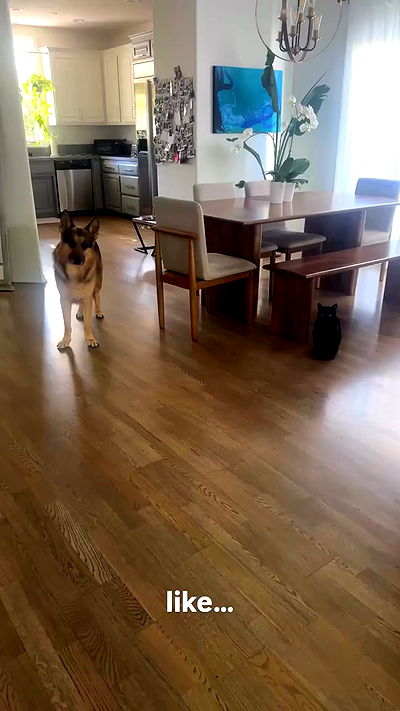 little.warren_ little.warren_ archive video