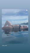 lior_lotati Altpins Profile Picture