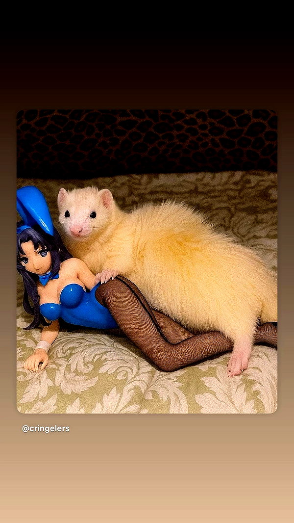 gigibizarreadventure archive video preview