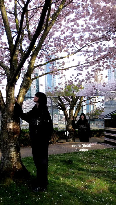 wuvkyu wuvkyu archive video