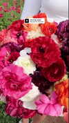 yahel_tubul Altpins Profile Picture