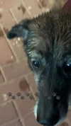 emily_new2 Altpins Profile Picture