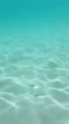 eloise_wensley Altpins Profile Picture