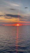 amit.yaron Altpins Profile Picture