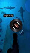 zz.eazoning Altpins Profile Picture