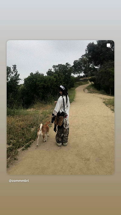 zommmbri zommmbri archive video