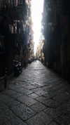 michael_ayazgi Altpins Profile Picture