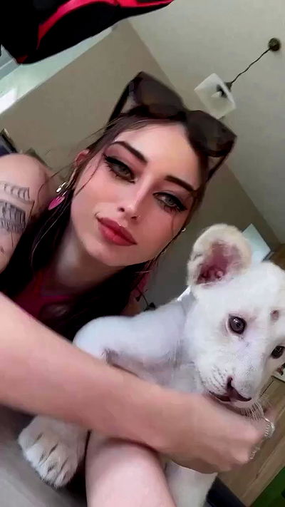 seilorkittyofficial seilorkittyofficial archive video