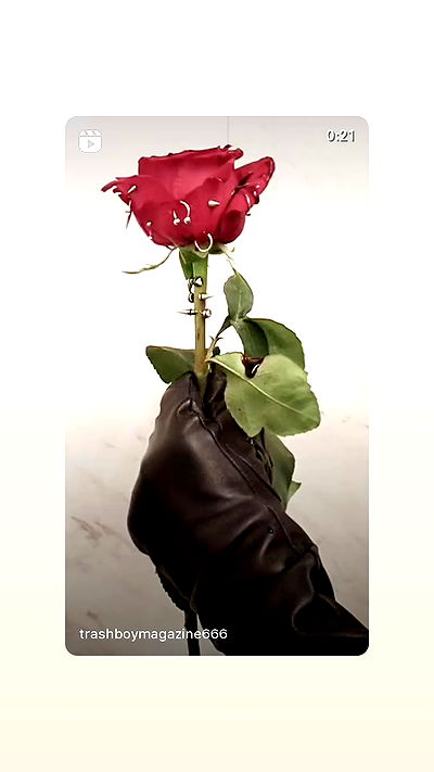 moonliliaght moonliliaght archive video