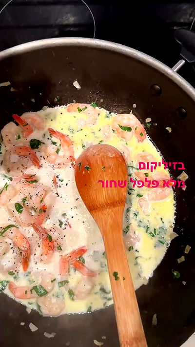 iambohema.v2 iambohema.v2 archive video