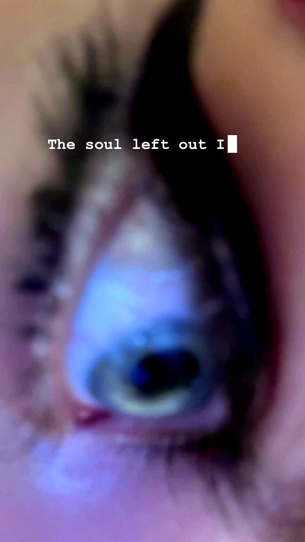 moonliliaght archive video preview