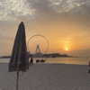 pascha.ds Altpins Profile Picture